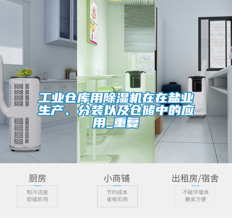 工業(yè)倉庫用除濕機在在鹽業(yè)生產、分裝以及倉儲中的應用_重復