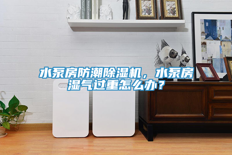 水泵房防潮除濕機(jī)，水泵房濕氣過(guò)重怎么辦？