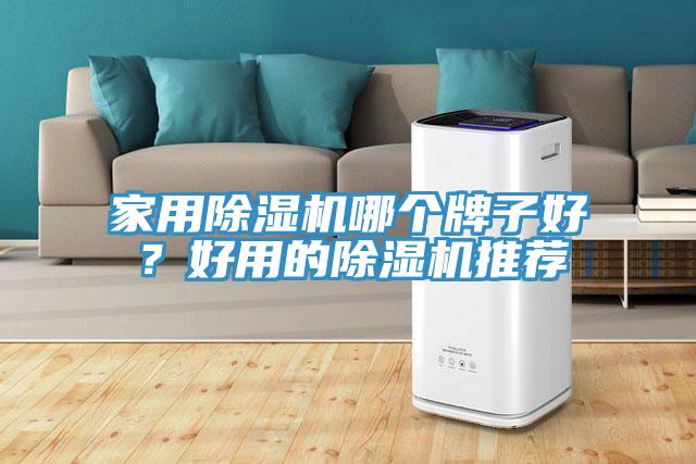 家用除濕機哪個牌子好？好用的除濕機推薦