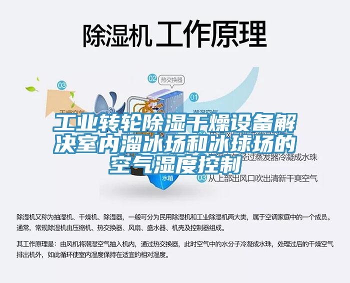 工業(yè)轉輪除濕干燥設備解決室內溜冰場和冰球場的空氣濕度控制