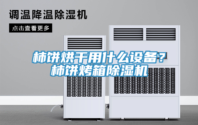 柿餅烘干用什么設(shè)備？柿餅烤箱除濕機(jī)