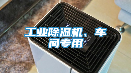 工業(yè)除濕機、車間專用