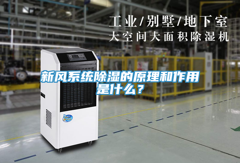 新風(fēng)系統(tǒng)除濕的原理和作用是什么？