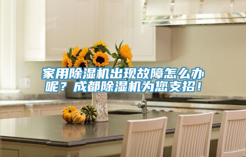 家用除濕機出現(xiàn)故障怎么辦呢？成都除濕機為您支招！