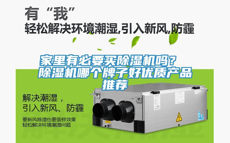 家里有必要買除濕機(jī)嗎？ 除濕機(jī)哪個(gè)牌子好優(yōu)質(zhì)產(chǎn)品推薦