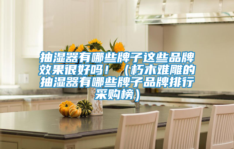 抽濕器有哪些牌子這些品牌效果很好嗎?。ㄐ嗄倦y雕的抽濕器有哪些牌子品牌排行采購(gòu)榜）