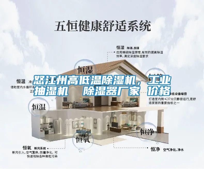 怒江州高低溫除濕機(jī)，工業(yè)抽濕機(jī)  除濕器廠家 價(jià)格