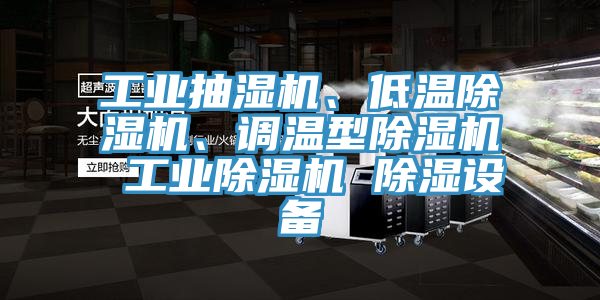 工業(yè)抽濕機(jī)、低溫除濕機(jī)、調(diào)溫型除濕機(jī) 工業(yè)除濕機(jī) 除濕設(shè)備