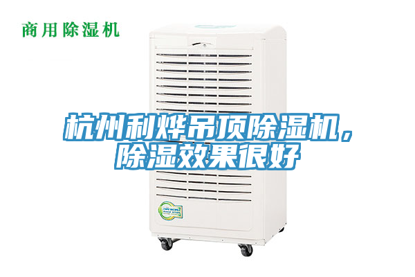 杭州利燁吊頂除濕機(jī)，除濕效果很好