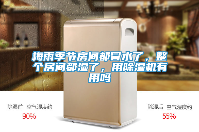 梅雨季節(jié)房間都冒水了，整個房間都濕了，用除濕機有用嗎