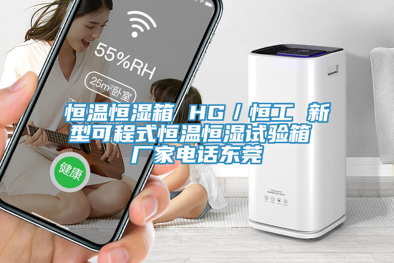 恒溫恒濕箱 HG／恒工 新型可程式恒溫恒濕試驗(yàn)箱 廠家電話(huà)東莞
