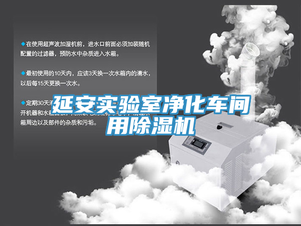 延安實(shí)驗(yàn)室凈化車(chē)間用除濕機(jī)