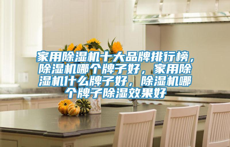 家用除濕機十大品牌排行榜，除濕機哪個牌子好，家用除濕機什么牌子好，除濕機哪個牌子除濕效果好