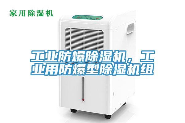 工業(yè)防爆除濕機(jī)，工業(yè)用防爆型除濕機(jī)組