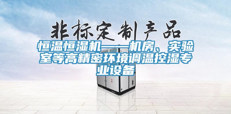 恒溫恒濕機(jī)——機(jī)房、實驗室等高精密環(huán)境調(diào)溫控濕專業(yè)設(shè)備