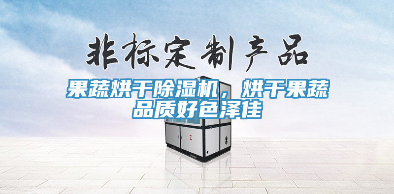 果蔬烘干除濕機(jī)，烘干果蔬品質(zhì)好色澤佳