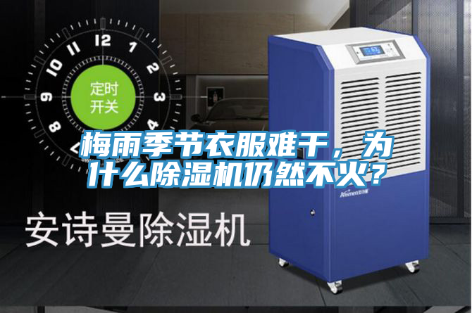 梅雨季節(jié)衣服難干，為什么除濕機仍然不火？