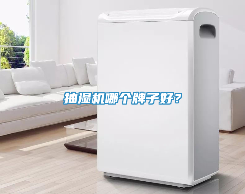 抽濕機(jī)哪個(gè)牌子好？