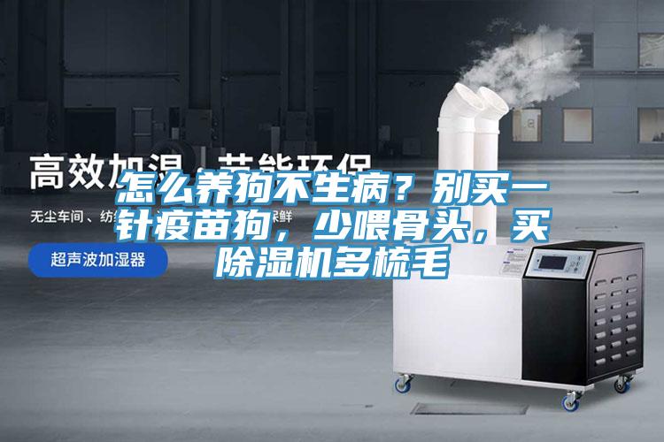怎么養(yǎng)狗不生?。縿e買一針疫苗狗，少喂骨頭，買除濕機(jī)多梳毛