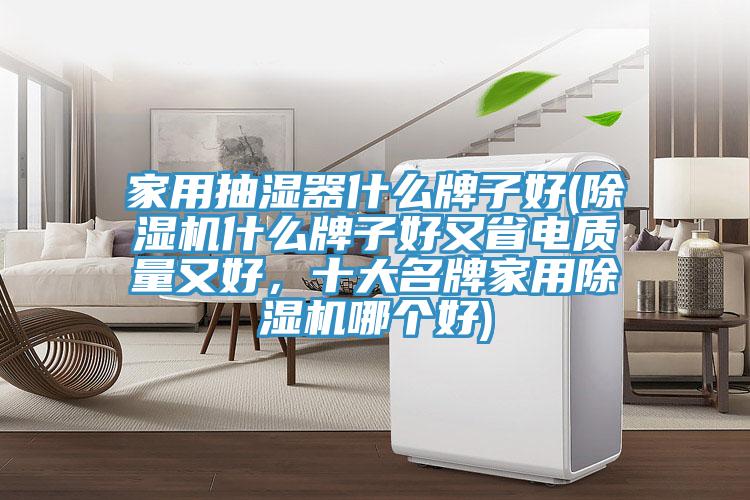 家用抽濕器什么牌子好(除濕機什么牌子好又省電質(zhì)量又好，十大名牌家用除濕機哪個好)