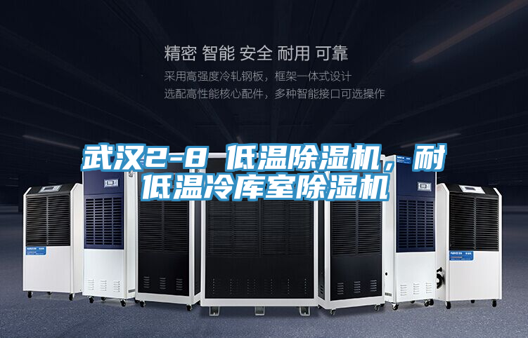 武漢2-8℃低溫除濕機，耐低溫冷庫室除濕機