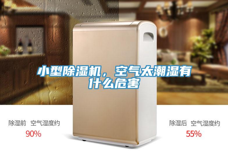 小型除濕機(jī)，空氣太潮濕有什么危害
