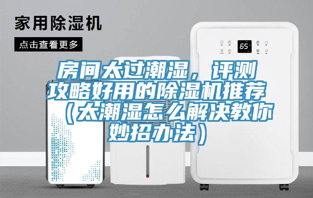 房間太過潮濕，評測攻略好用的除濕機(jī)推薦（太潮濕怎么解決教你妙招辦法）