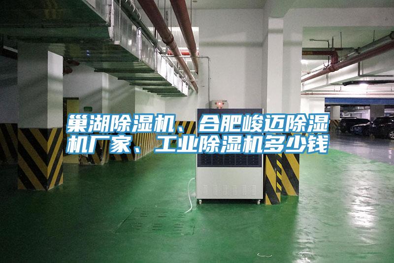 巢湖除濕機、合肥峻邁除濕機廠家、工業(yè)除濕機多少錢