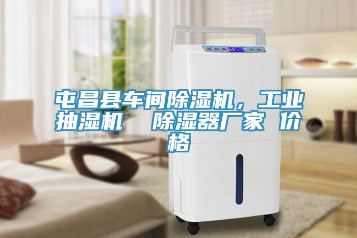 屯昌縣車間除濕機(jī)，工業(yè)抽濕機(jī)  除濕器廠家 價(jià)格