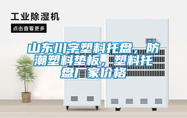 山東川字塑料托盤，防潮塑料墊板，塑料托盤廠家價格