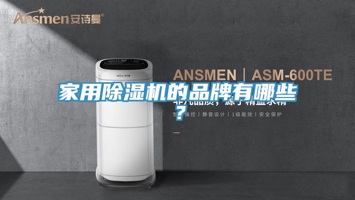 家用除濕機的品牌有哪些？