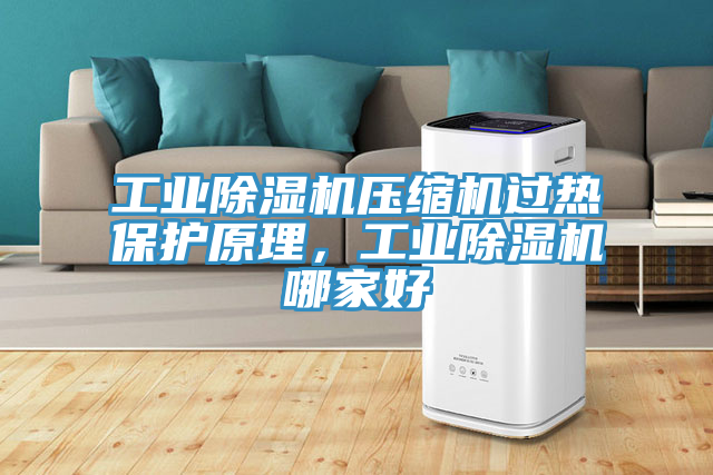 工業(yè)除濕機(jī)壓縮機(jī)過熱保護(hù)原理，工業(yè)除濕機(jī)哪家好