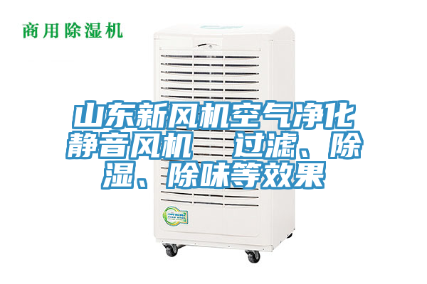 山東新風(fēng)機空氣凈化靜音風(fēng)機  過濾、除濕、除味等效果