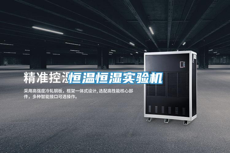 恒溫恒濕實驗機(jī)