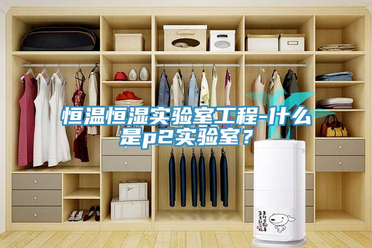 恒溫恒濕實驗室工程-什么是p2實驗室？