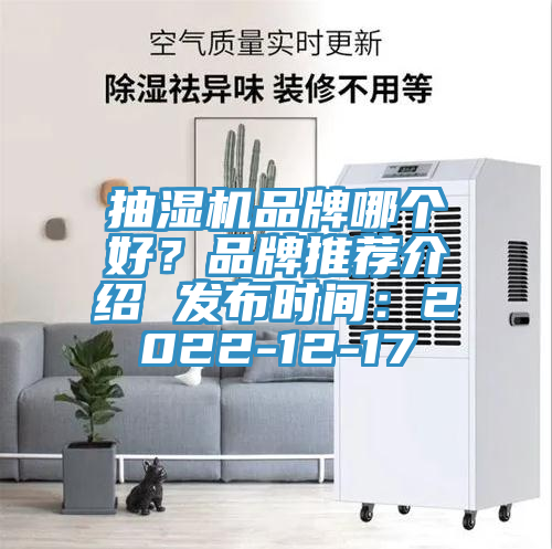 抽濕機品牌哪個好？品牌推薦介紹 發(fā)布時間：2022-12-17