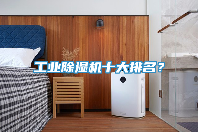 工業(yè)除濕機十大排名？