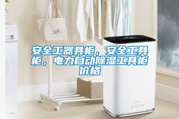 安全工器具柜，安全工具柜，電力自動(dòng)除濕工具柜價(jià)格