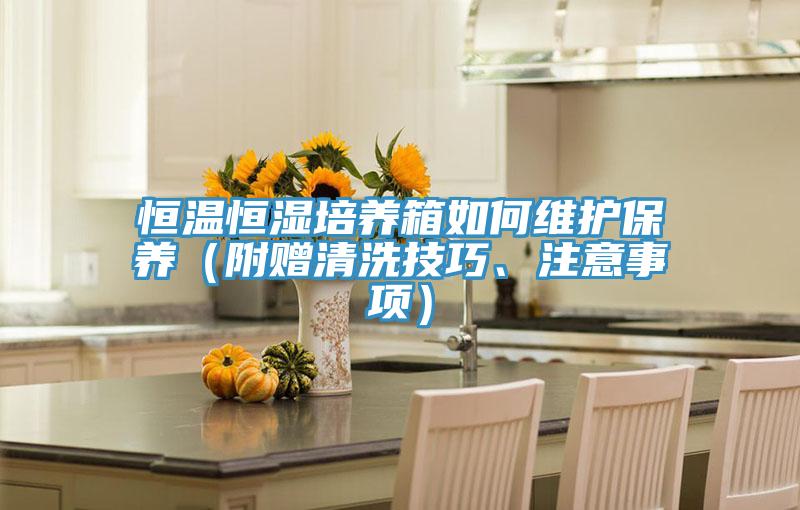 恒溫恒濕培養(yǎng)箱如何維護(hù)保養(yǎng)（附贈(zèng)清洗技巧、注意事項(xiàng)）