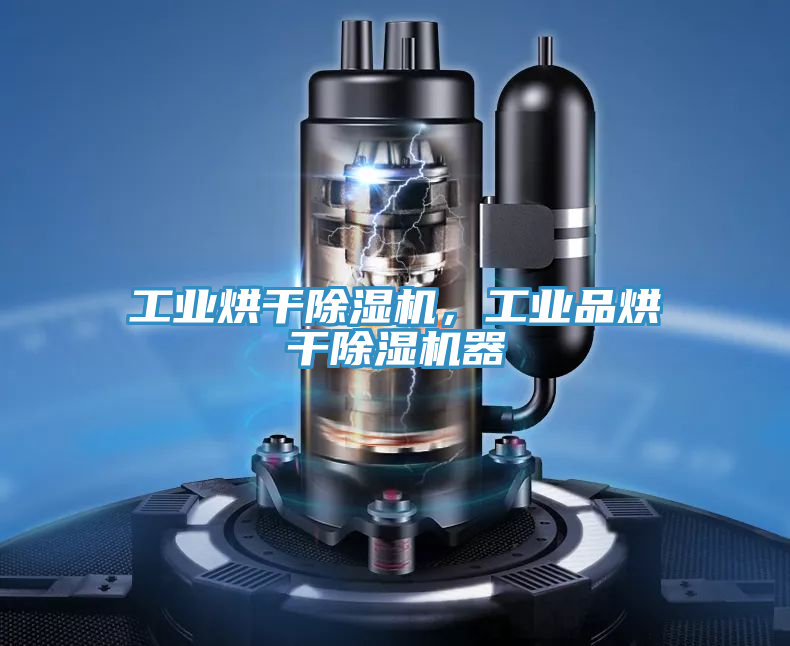 工業(yè)烘干除濕機(jī)，工業(yè)品烘干除濕機(jī)器