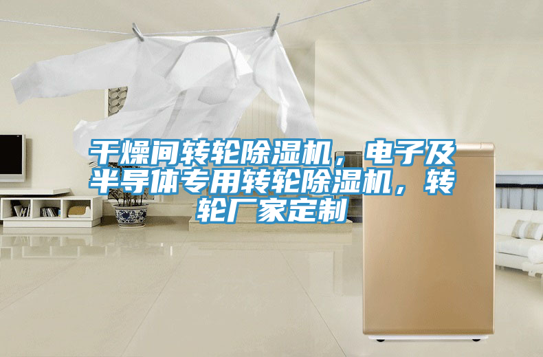干燥間轉(zhuǎn)輪除濕機，電子及半導(dǎo)體專用轉(zhuǎn)輪除濕機，轉(zhuǎn)輪廠家定制