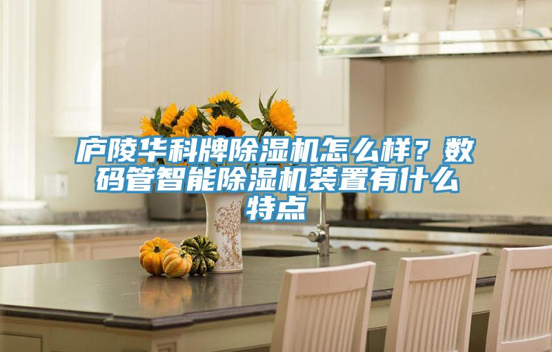廬陵華科牌除濕機怎么樣？數(shù)碼管智能除濕機裝置有什么特點