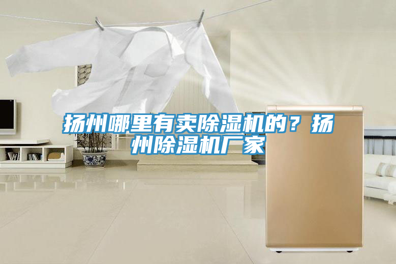 揚(yáng)州哪里有賣除濕機(jī)的？揚(yáng)州除濕機(jī)廠家