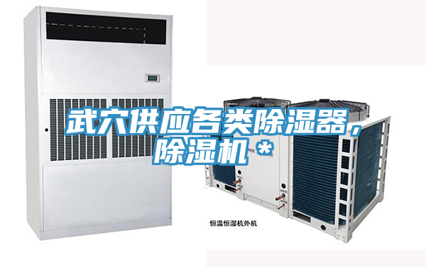 武穴供應(yīng)各類除濕器，除濕機(jī)＊