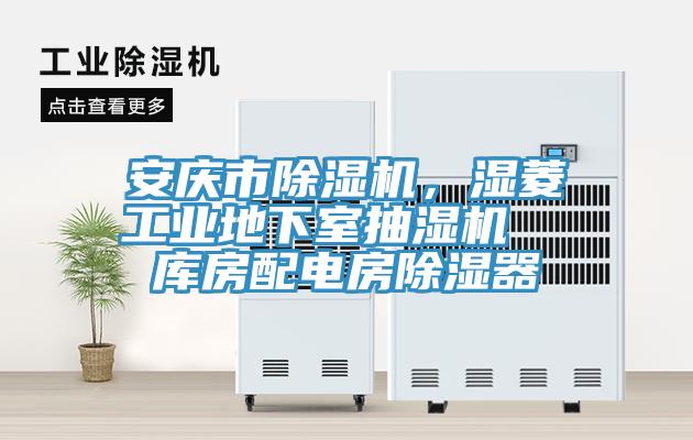 安慶市除濕機(jī)，濕菱工業(yè)地下室抽濕機(jī)  庫房配電房除濕器