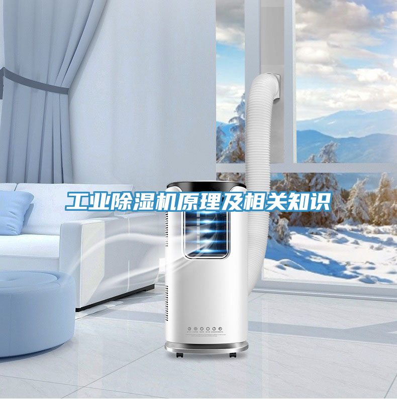 工業(yè)除濕機(jī)原理及相關(guān)知識