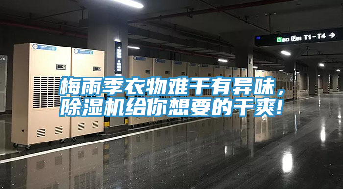 梅雨季衣物難干有異味，除濕機給你想要的干爽!