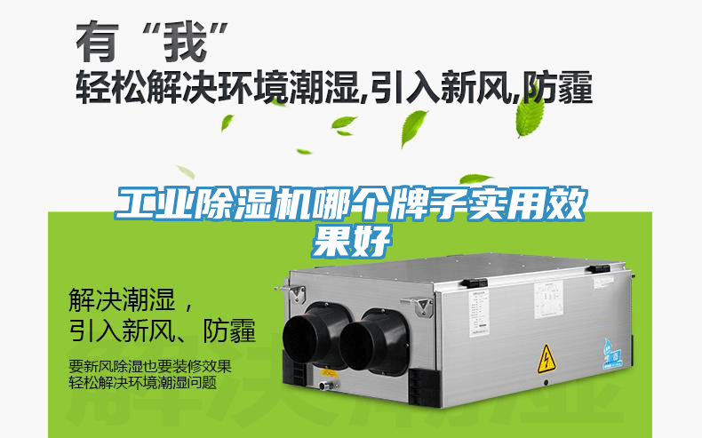 工業(yè)除濕機(jī)哪個牌子實用效果好