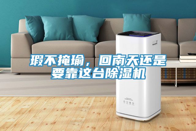 瑕不掩瑜，回南天還是要靠這臺(tái)除濕機(jī)