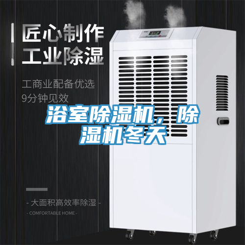 浴室除濕機(jī)，除濕機(jī)冬天